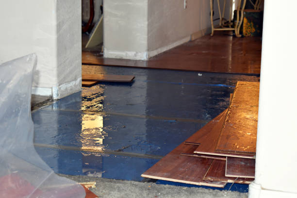 Professional Burst Pipe Cleanup technician working in Lexington, OK